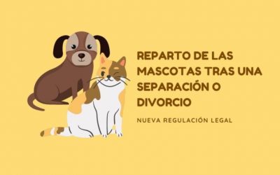 Custodia de las mascotas en caso de separación o divorcio.